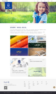 专注数字未来 佛山市火龙科技——您的网站设计、软件开发与移动互联网一体化解决方案专家