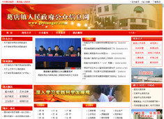 武汉市陆叁玖科技 专业网站建设与软件开发服务